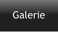 Galerie
